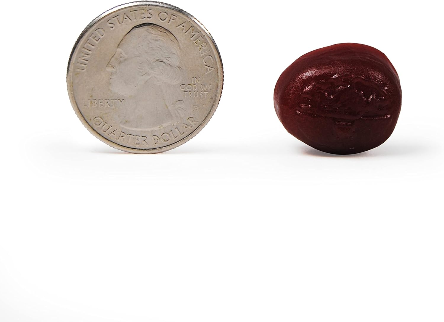 Neuriva Plus Brain Performance Gummies, 50 CT