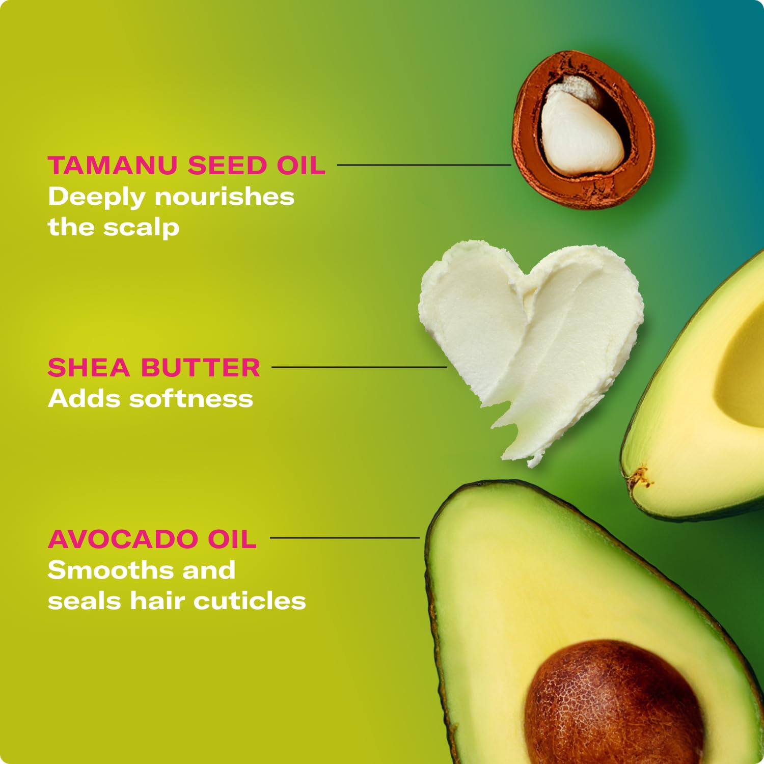 Mielle Organics Avocado & Tamanu Anti Frizz Conditioner, 12oz