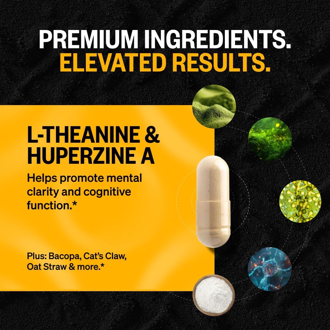 ONNIT Alpha Brain Nootropic Brain Supplement, 30 Count