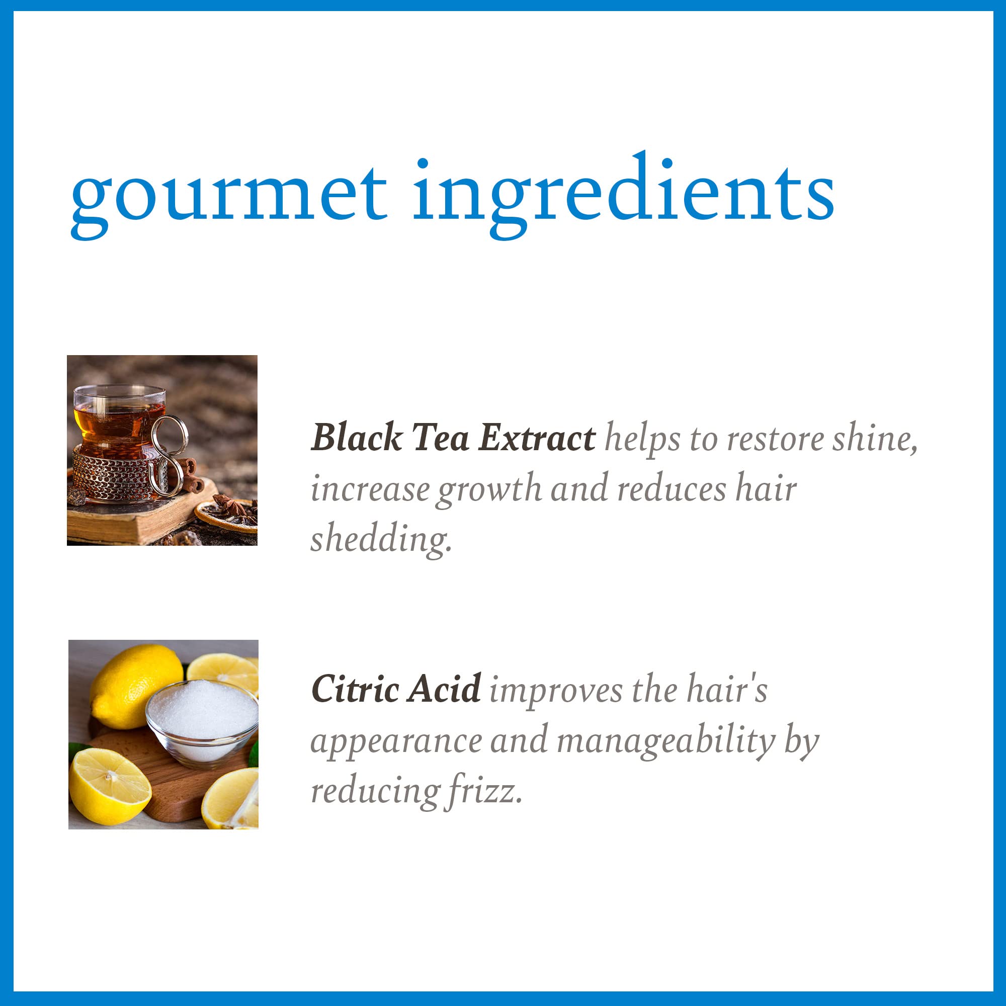 Camille Rose Black Castor Oil & Chebe Hair Cleanse, Invigorating Scalp Treatment Shampoo 12 fl oz