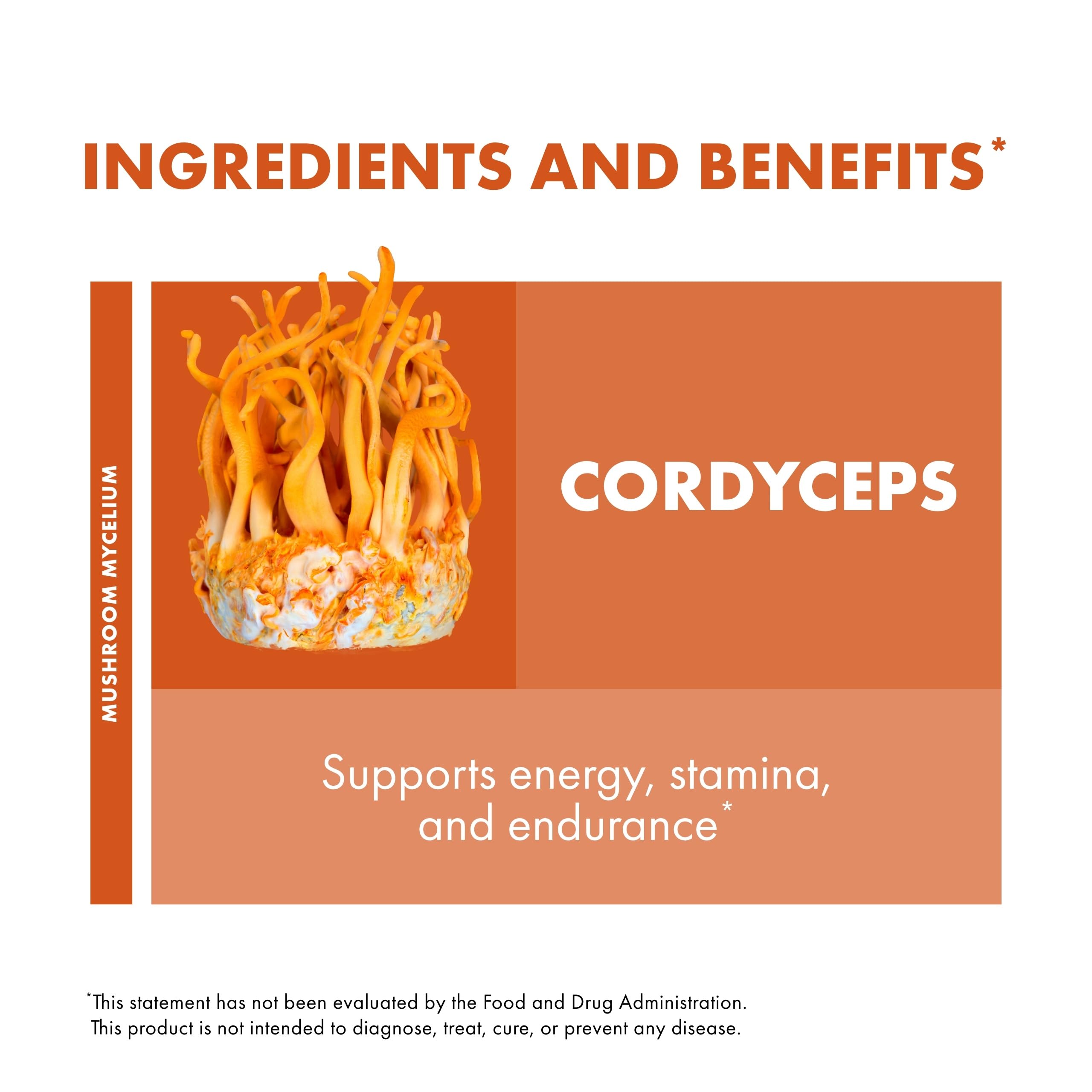 Host Defense Cordyceps Capsules