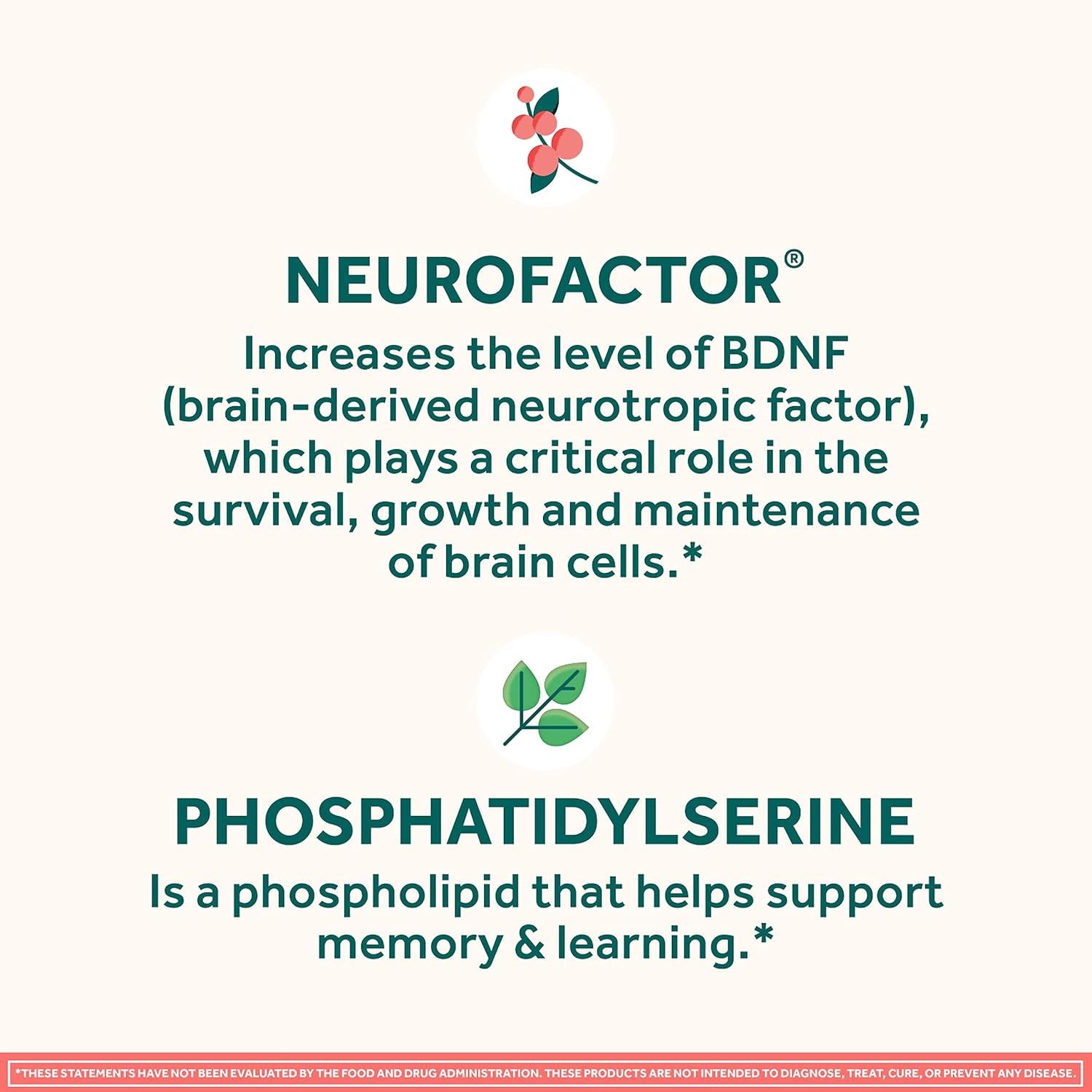 Neuriva Brain Health Strawberry Original Gummies 50 ct