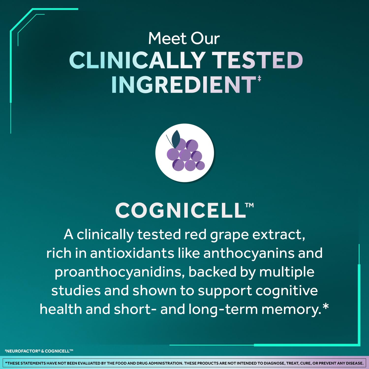 Neuriva Brain Memory 3D Capsules,