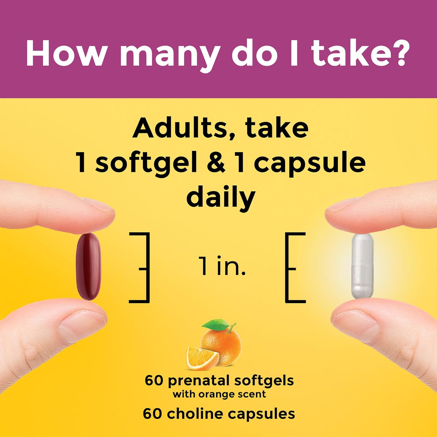 Nature Made Prenatal Vitamin Softgels + Choline Capsules, Folic Acid + DHA + Choline, 60 Capsules,