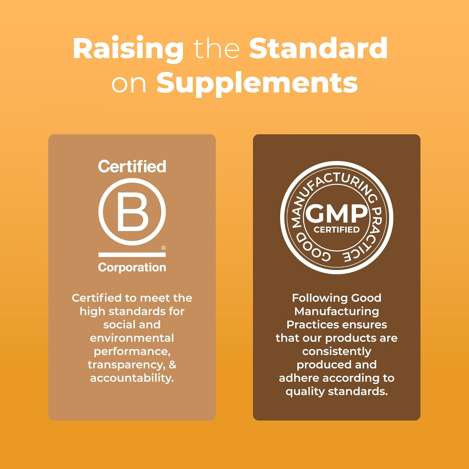 MaryRuth Organics Lions Mane Supplement, 7.6 oz