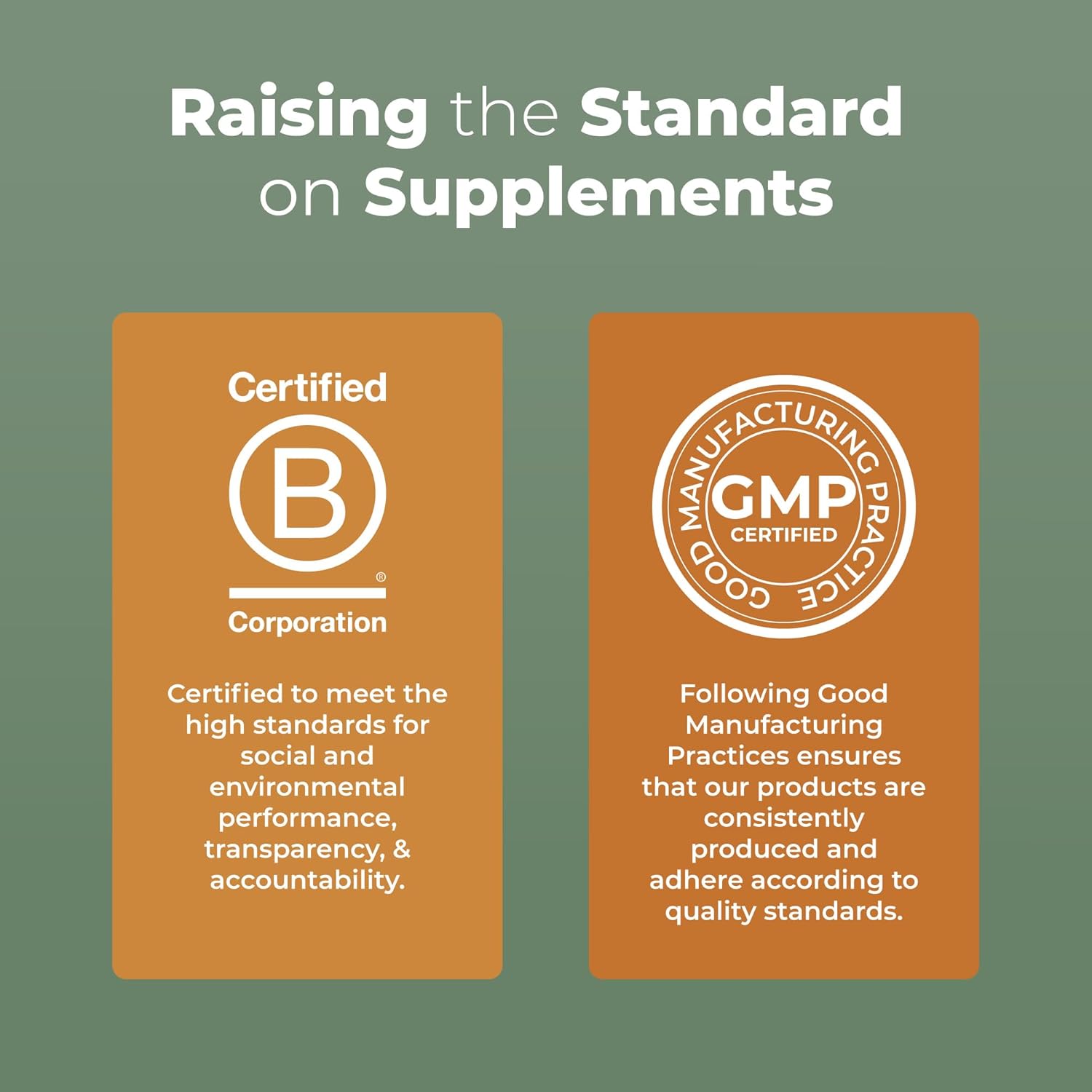 MaryRuth Organics Reishi Vegan Mushroom Supplement, 7.6 oz,