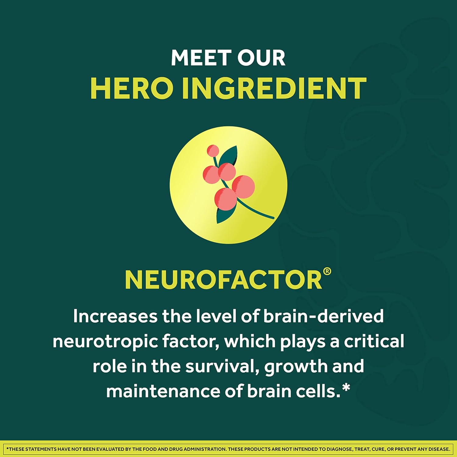 NEURIVA Brain + Energy Gummies, 75 ct