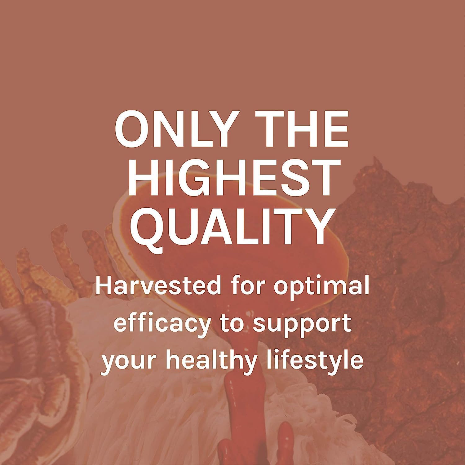 Host Defense MycoBotanicals Liver, 60 Capsules