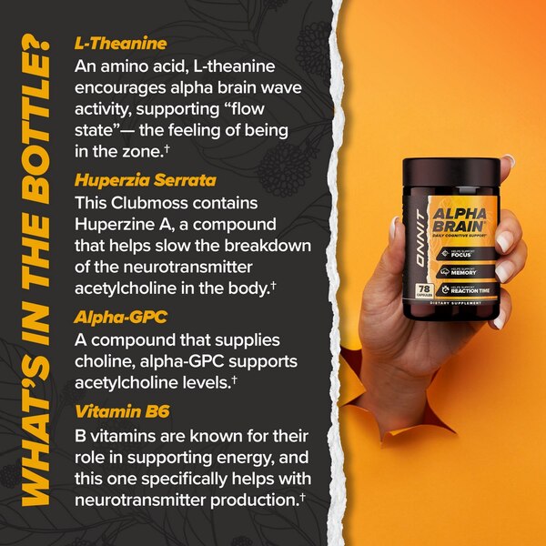 ONNIT Alpha Brain Nootropic Brain Supplement, 30 Count