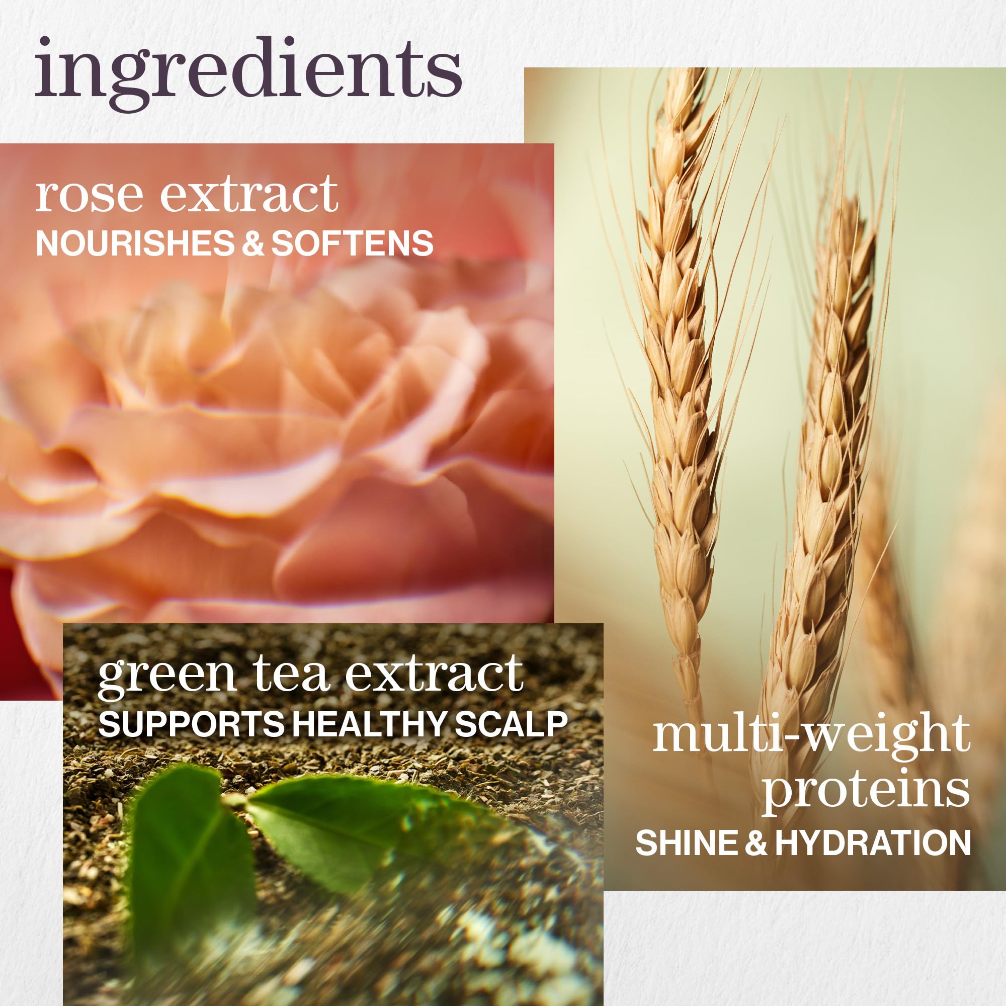 Pureology Hydrate Shampoo