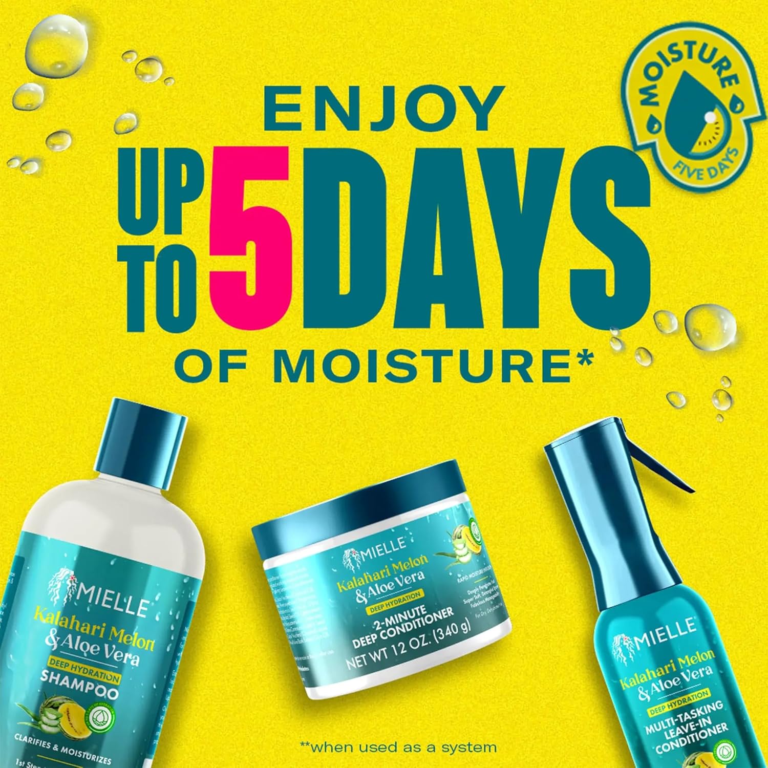 Mielle Kalahari Melon & Aloe Deep Sulfate Free Shampoo, 12 fl oz