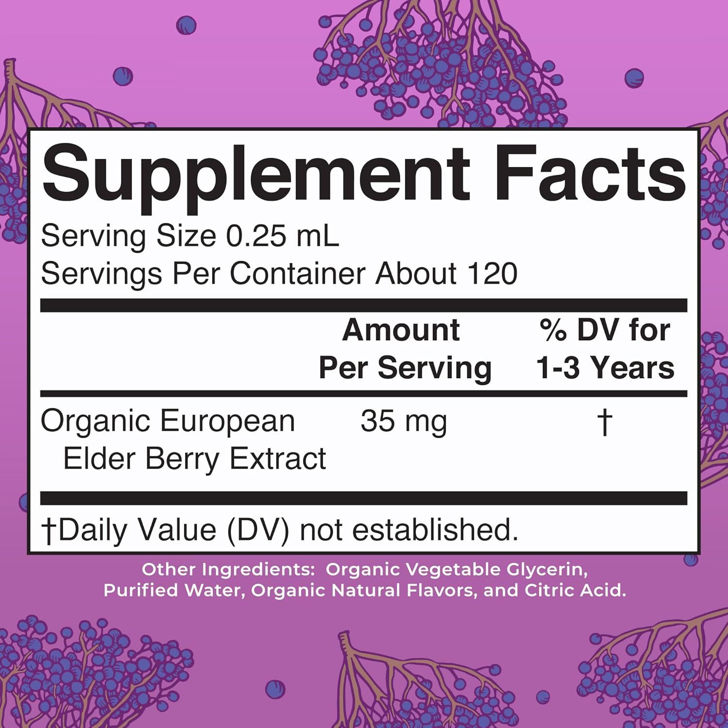 MaryRuth Organics Toddler Elderberry Syrup, USDA Organic Elderberry, 1 Fl Oz