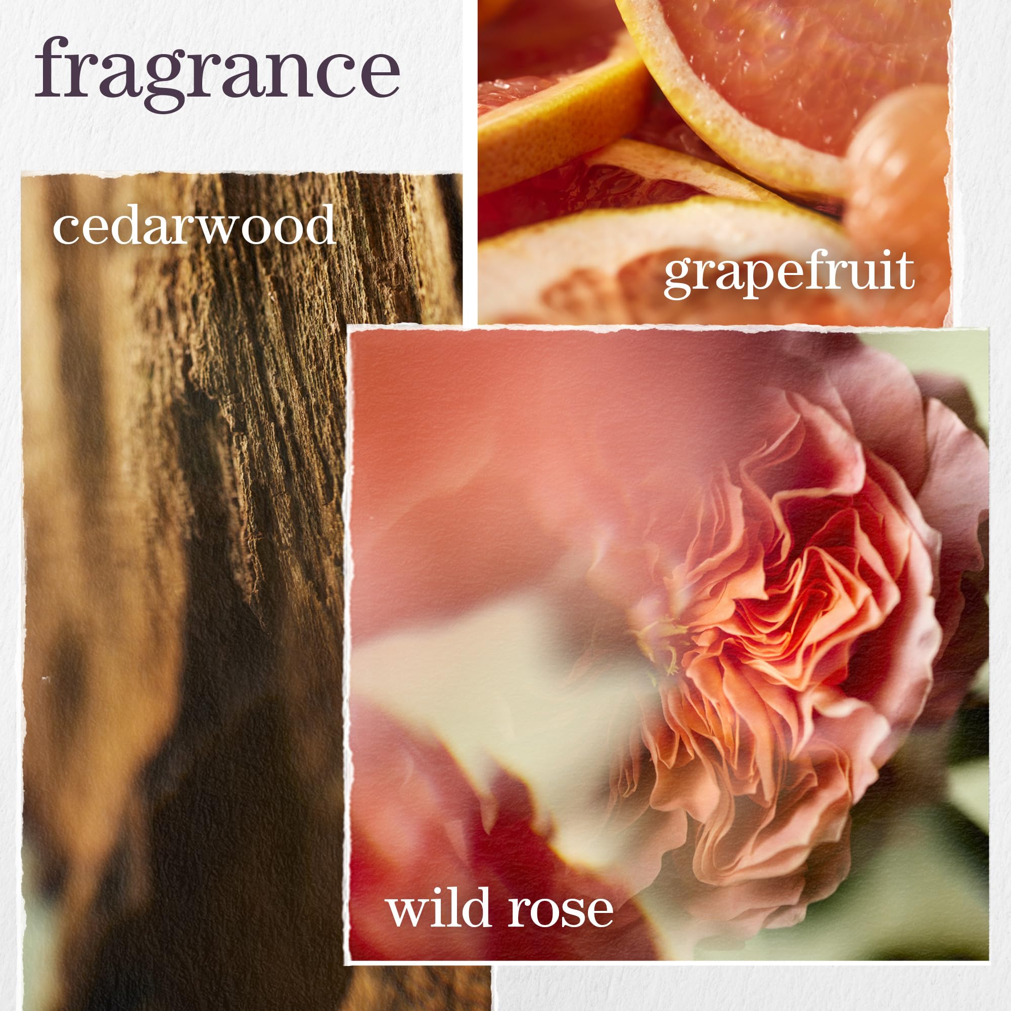 Pureology Pure Volume Shampoo