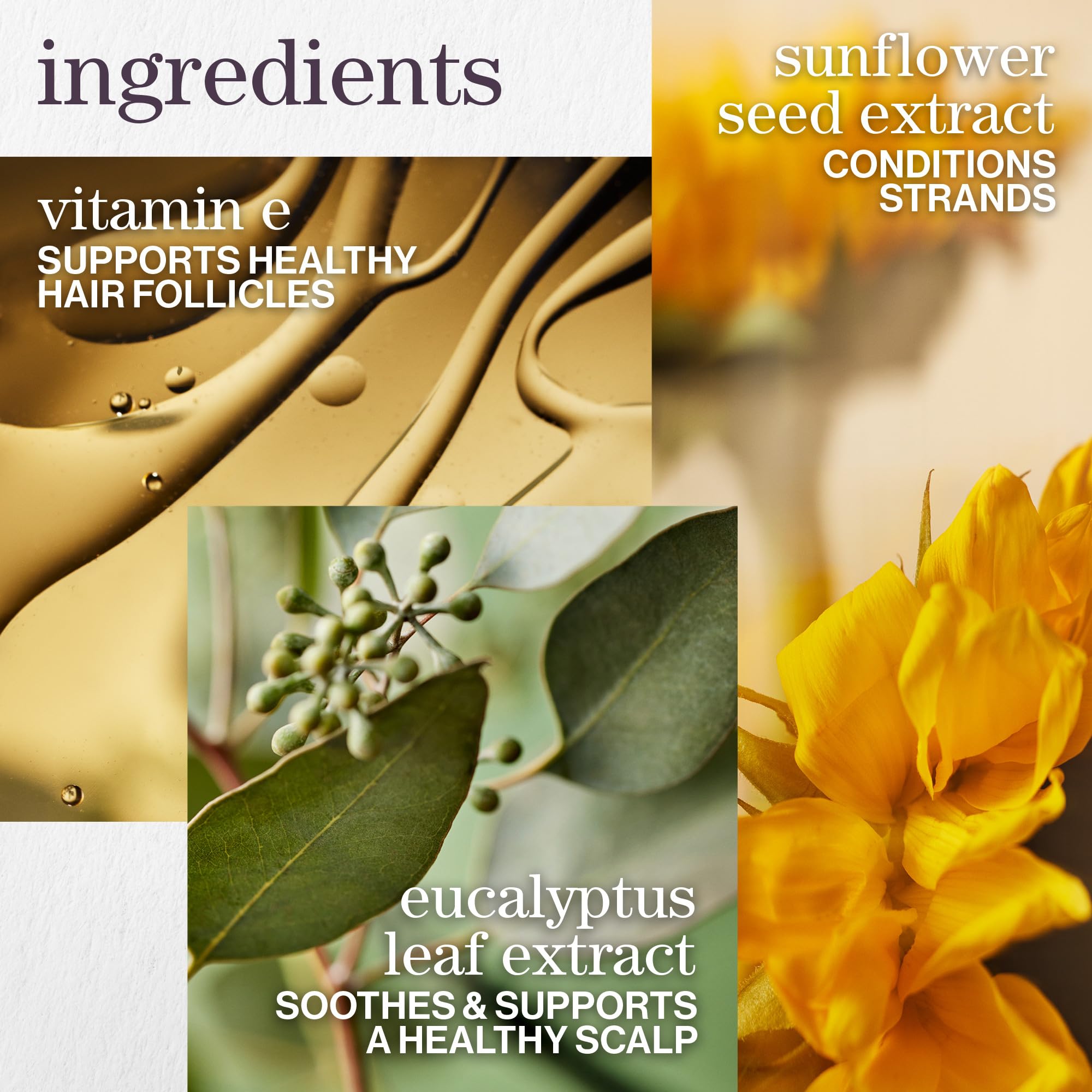 Pureology Pure Volume Shampoo