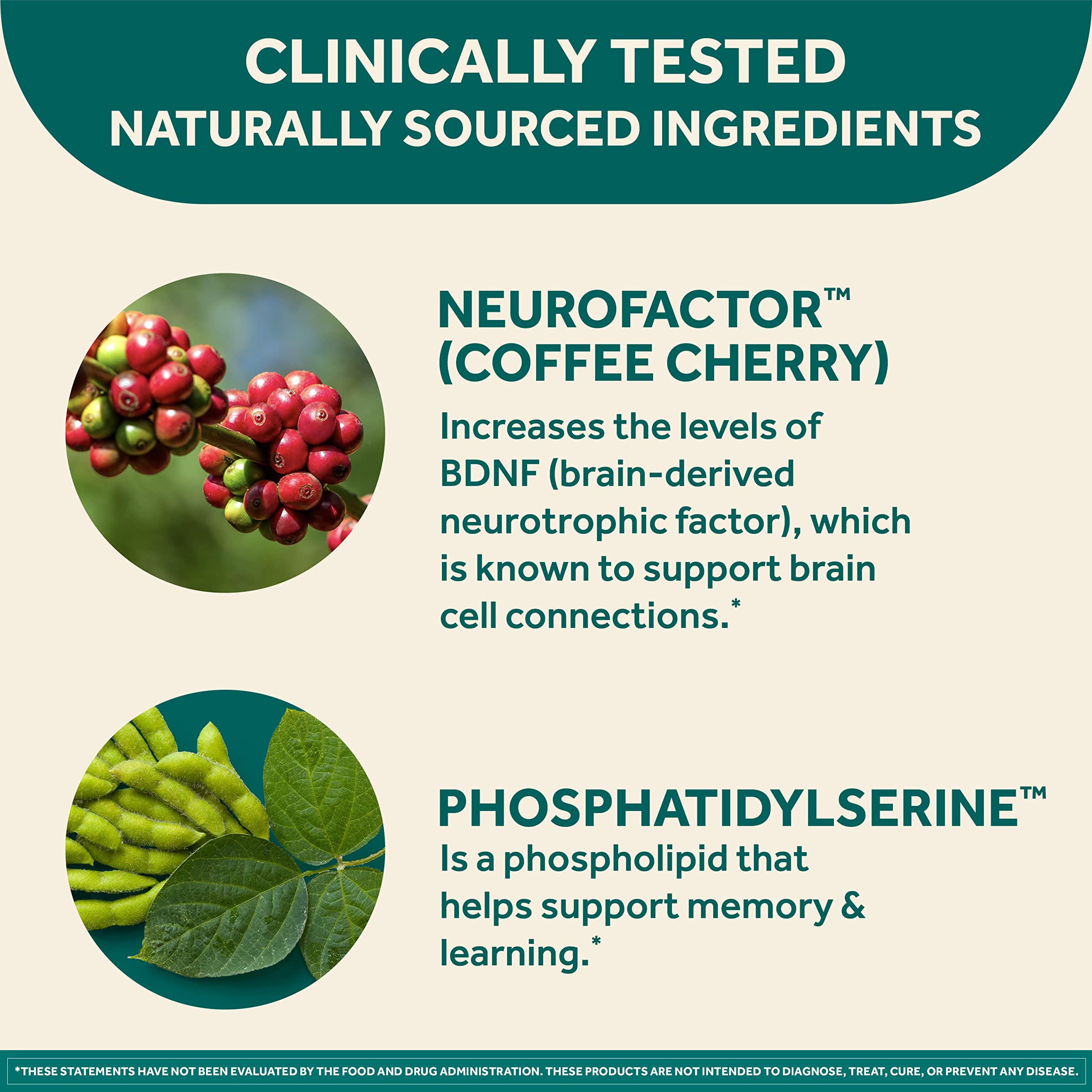 Neuriva Original Brain Performance Capsules - 30ct